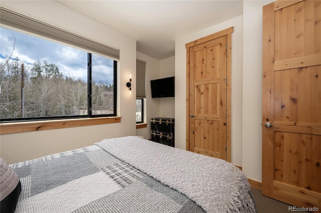 288 Lions Gate Dr, Winter Park, CO 80482 - bedroom featuring multiple windows, carpet flooring, and baseboards