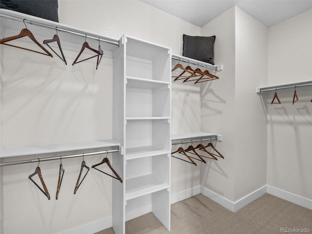 1787 W 166th Ave, Broomfield, CO 80023 - walk in closet featuring carpet