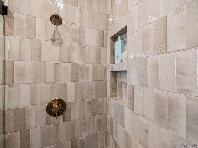 1787 W 166th Ave, Broomfield, CO 80023 - bathroom view of tiled shower