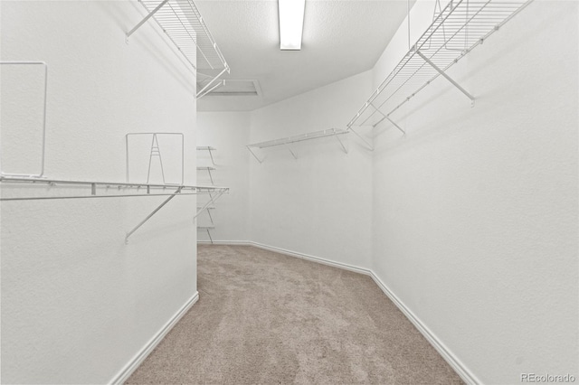 spacious closet featuring light carpet