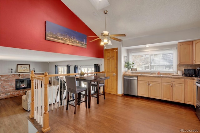 kitchen featuring plenty of natural light, a sink, stainless steel dishwasher, and wood finished floors