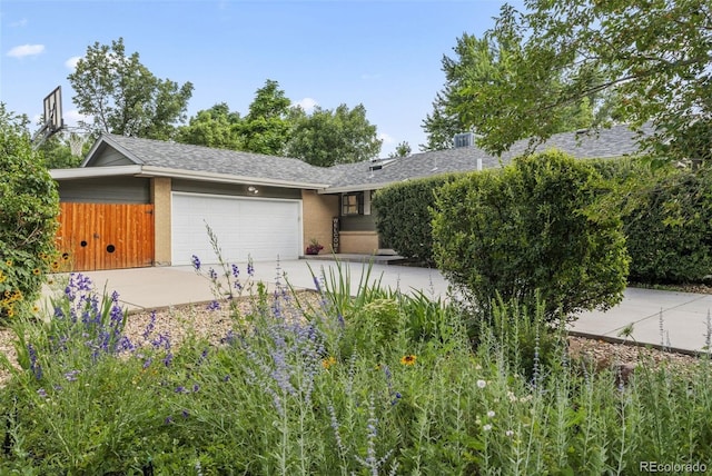 3322 Vivian Dr, Wheat Ridge, CO 80033 - photo 2