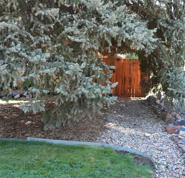 3322 Vivian Dr, Wheat Ridge, CO 80033 - photo 34