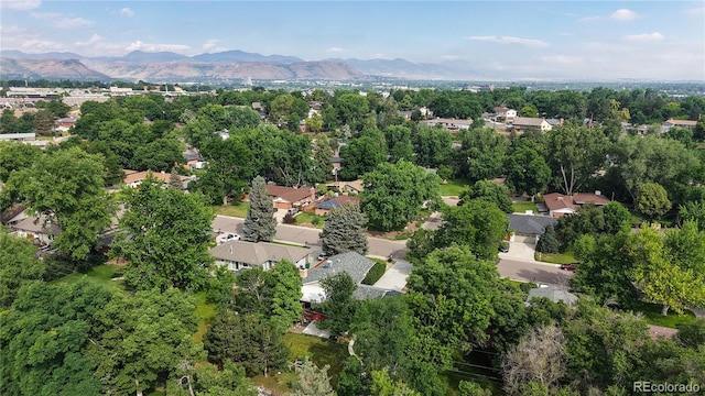 3322 Vivian Dr, Wheat Ridge, CO 80033 - photo 47