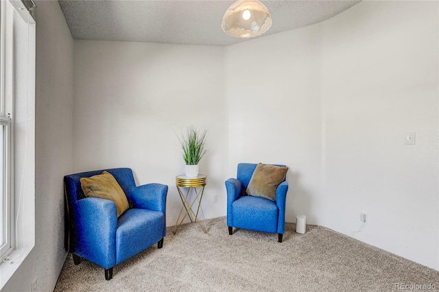 12534 2nd St, Thornton, CO 80241 - photo 22