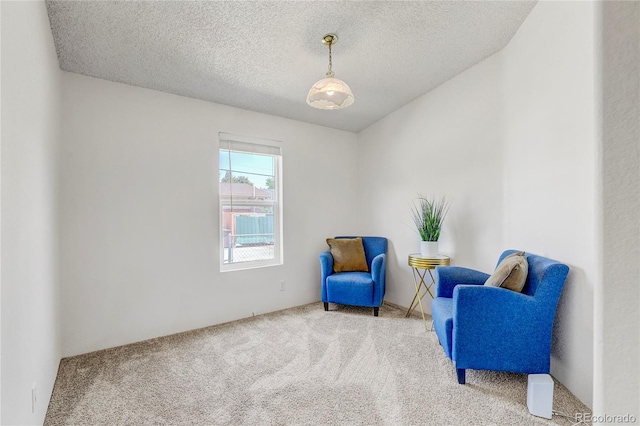 12534 2nd St, Thornton, CO 80241 - photo 21