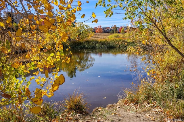 water view