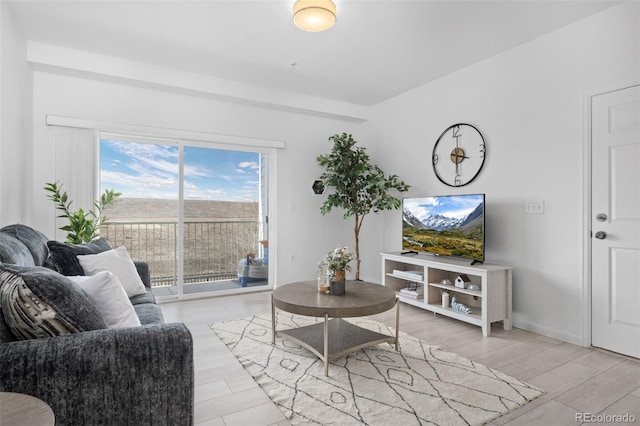 living room with wood tiled floor