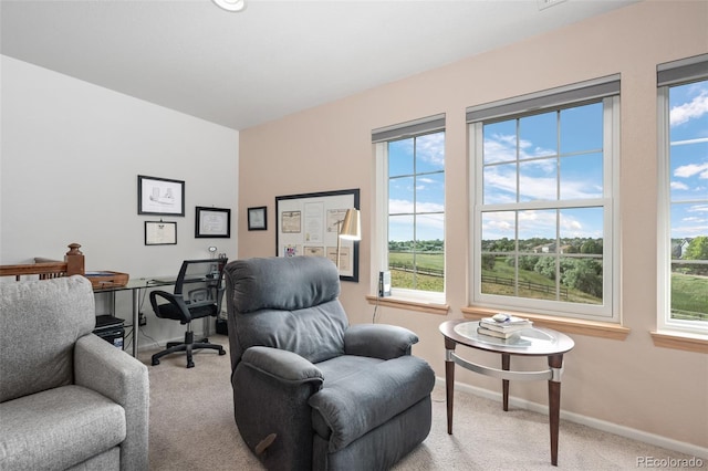 12753 Leyden St Unit C, Thornton, CO 80602 - home office with carpet and healthy amount of natural light