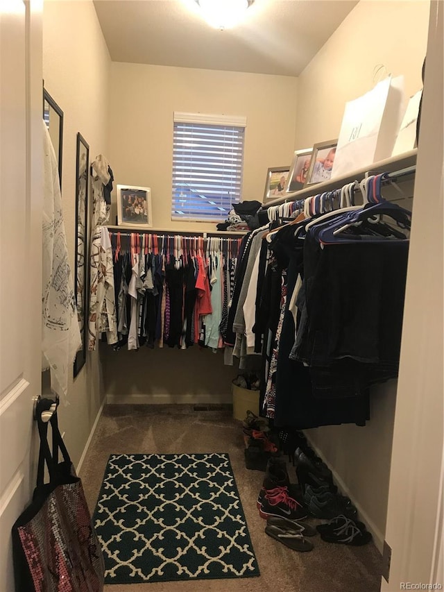 walk in closet featuring carpet floors