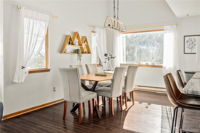 dining area featuring a baseboard radiator, a healthy amount of sunlight, and dark hardwood / wood-style flooring