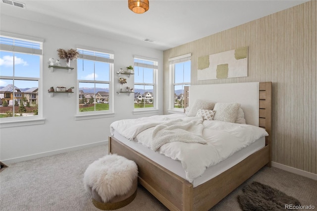 175 Westerly Blvd, Erie, CO 80516 - carpeted bedroom with baseboards