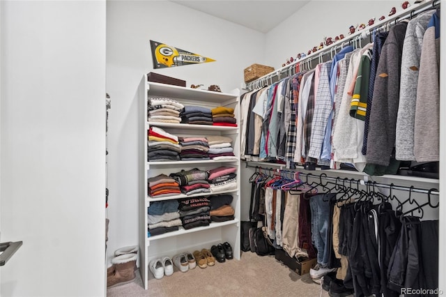 175 Westerly Blvd, Erie, CO 80516 - spacious closet featuring carpet