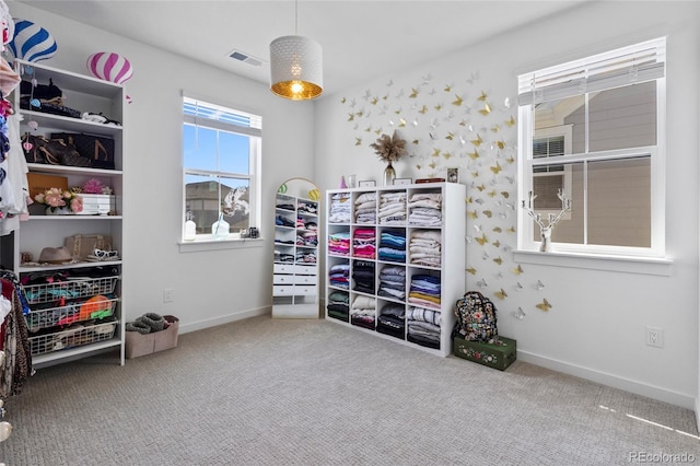 175 Westerly Blvd, Erie, CO 80516 - bedroom with carpet floors