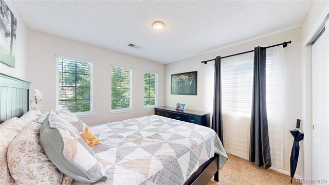 19730 E 58th Pl, Aurora, CO 80019 - bedroom with light carpet and a textured ceiling