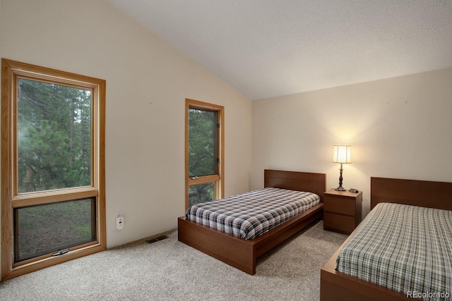 13190 Coyote Song Trl, Conifer, CO 80433 - carpeted bedroom featuring lofted ceiling