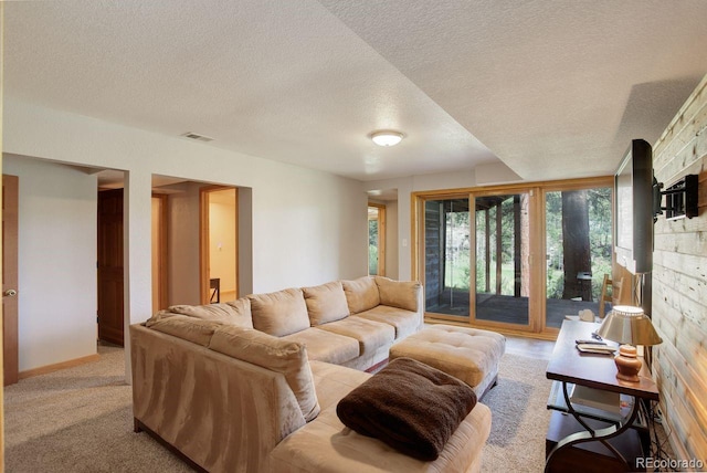 13190 Coyote Song Trl, Conifer, CO 80433 - living room featuring a textured ceiling and light colored carpet