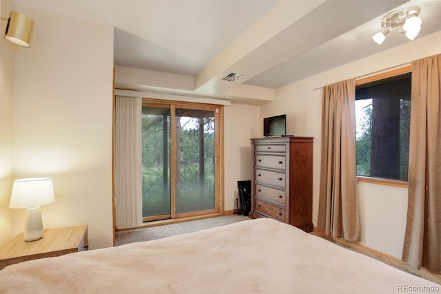 13190 Coyote Song Trl, Conifer, CO 80433 - bedroom with carpet and baseboards