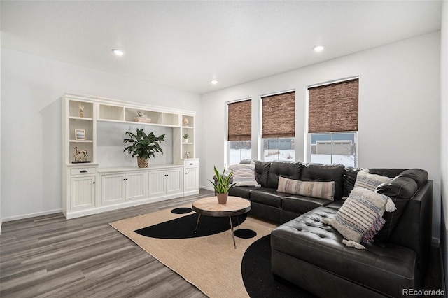 living room featuring hardwood / wood-style flooring