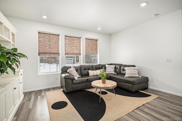 living room with dark wood-type flooring