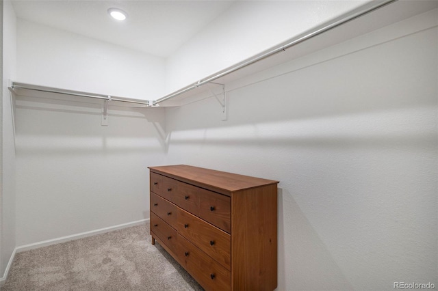 spacious closet with light colored carpet