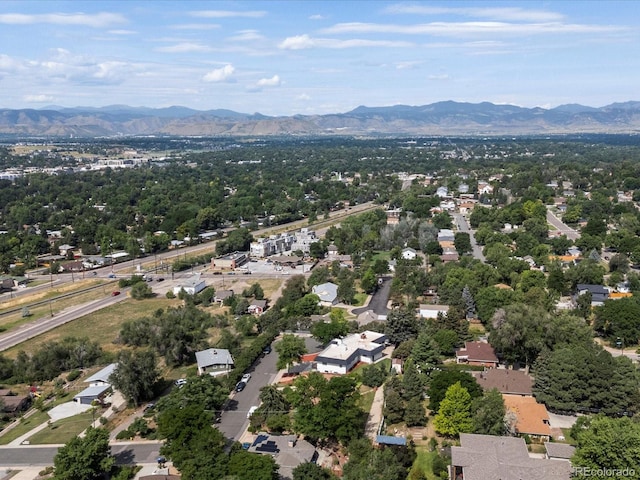8233 W 62nd Pl, Arvada, CO 80004 - photo 43