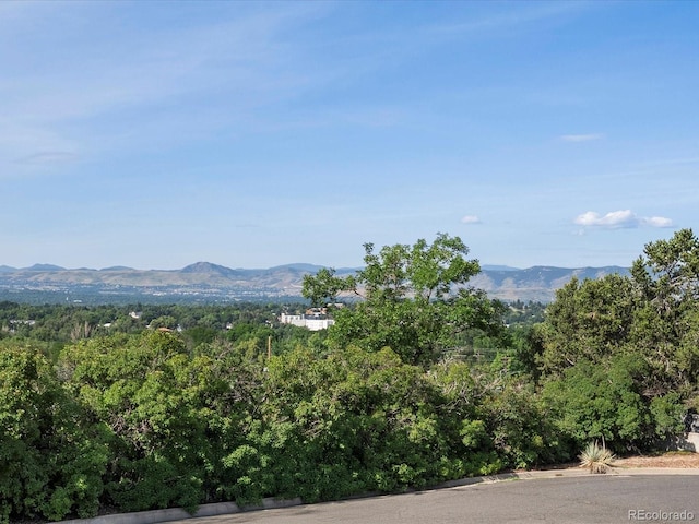 8233 W 62nd Pl, Arvada, CO 80004 - photo 47