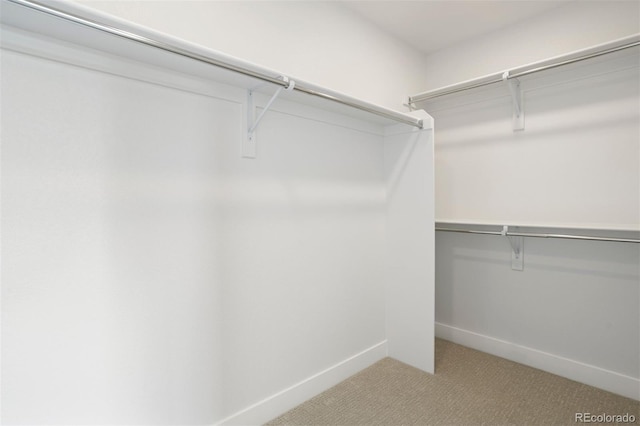 spacious closet with light carpet