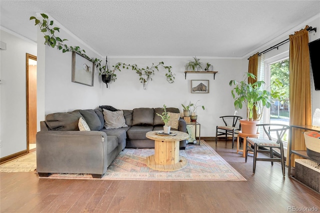 living room with ornamental molding, light wood-style floors, and a textured ceiling