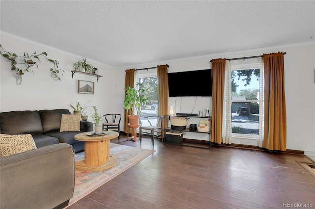 living room with dark wood-type flooring, crown molding, and a textured ceiling