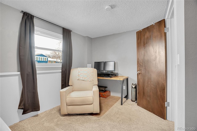 living area with a textured ceiling and carpet floors