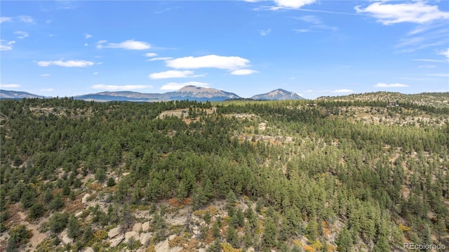 13490 Big Pine Ridge Rd, Weston CO, 81091 land for sale