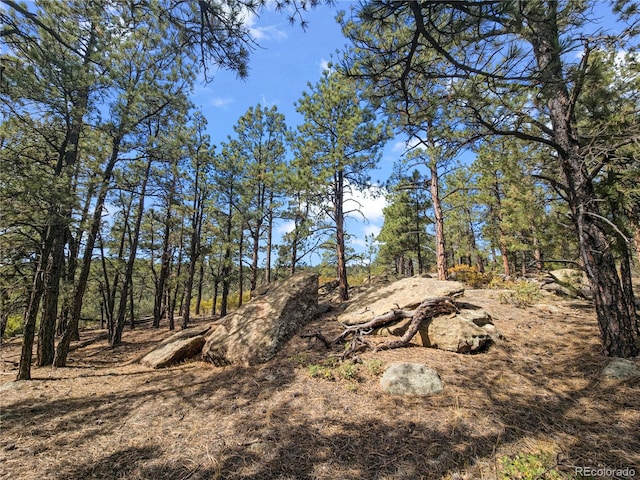 Listing photo 3 for 13490 Big Pine Ridge Rd, Weston CO 81091