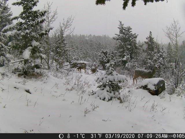 73 Elk Way, Drake, CO 80515 - view of snowy landscape