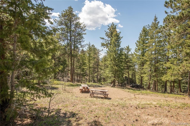 73 Elk Way, Drake, CO 80515 - view of yard with a view of trees