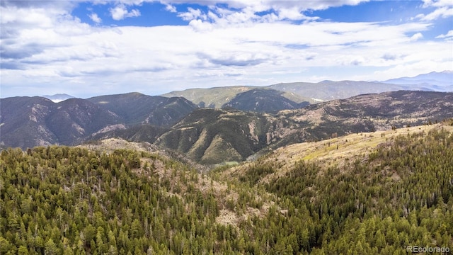 73 Elk Way, Drake, CO 80515 - view of mountain backdrop featuring a forest