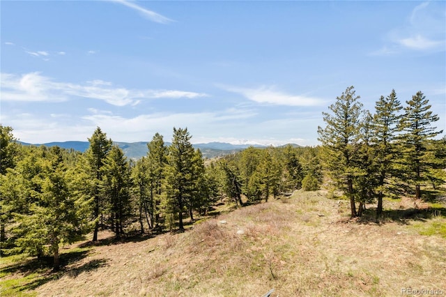 73 Elk Way, Drake, CO 80515 - view of mountain background