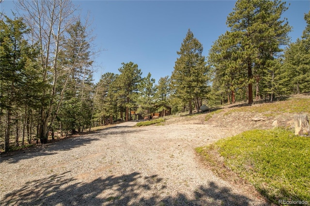 73 Elk Way, Drake, CO 80515 - view of dirt / gravel road featuring a view of trees