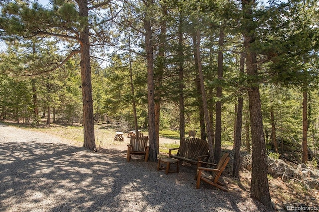 73 Elk Way, Drake, CO 80515 - view of yard featuring a view of trees
