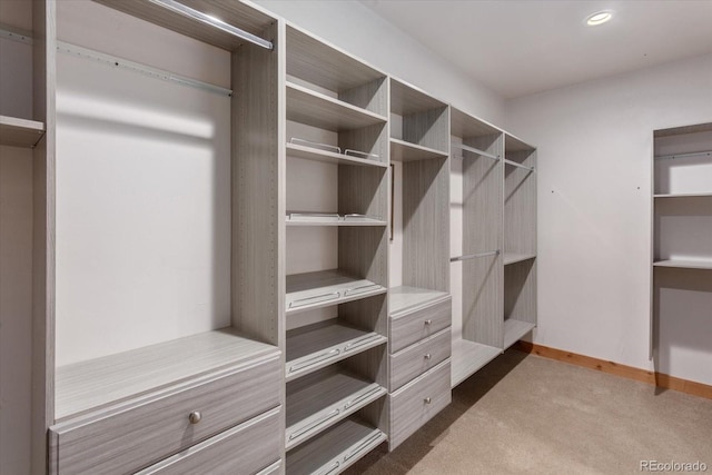 17158 County Road 363, Buena Vista, CO 81211 - walk in closet with dark carpet