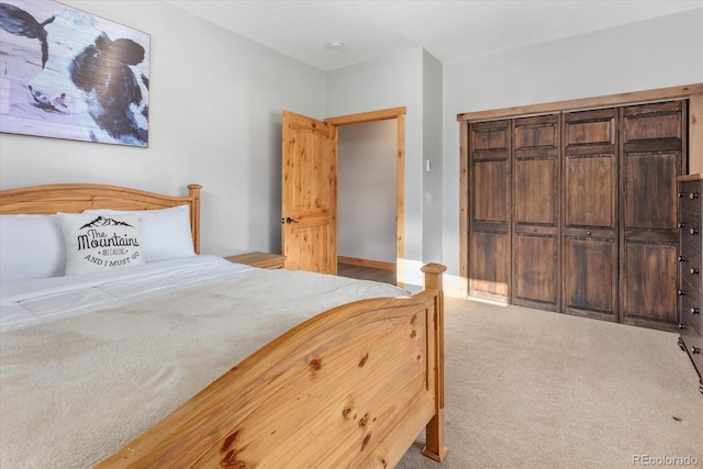 17158 County Road 363, Buena Vista, CO 81211 - carpeted bedroom with a closet