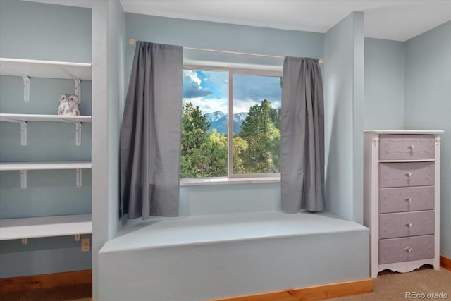 17158 County Road 363, Buena Vista, CO 81211 - view of bathroom