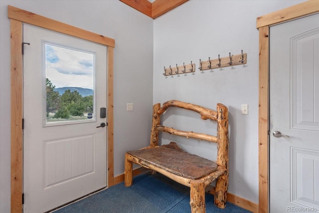 17158 County Road 363, Buena Vista, CO 81211 - doorway featuring baseboards