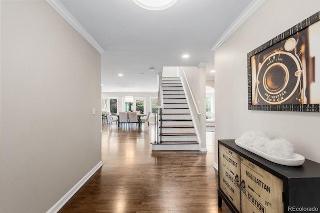 172 S Forest St, Denver, CO 80246 - corridor with dark wood-style flooring, stairway, plenty of natural light, crown molding, and baseboards
