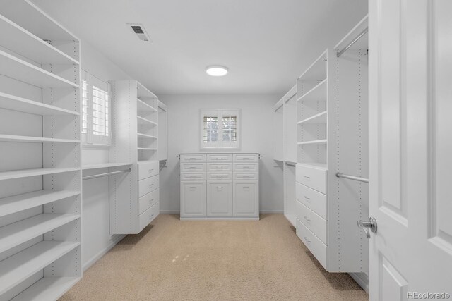 172 S Forest St, Denver, CO 80246 - walk in closet featuring light colored carpet
