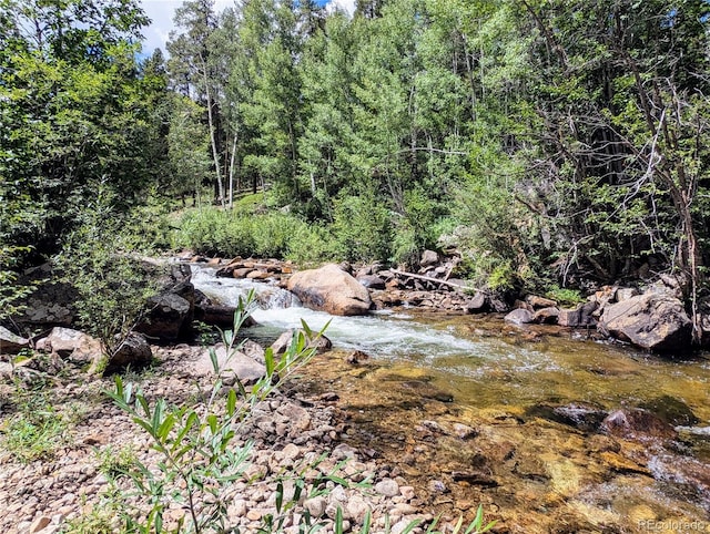 view of local wilderness