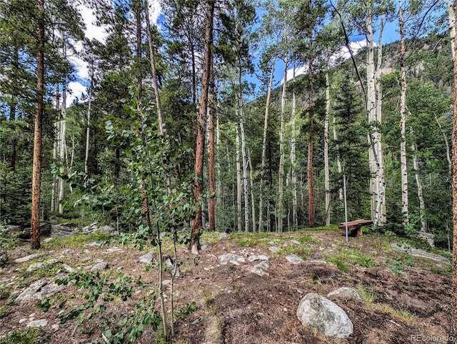 23795 County Road 162, Nathrop, CO 81236 - photo 7