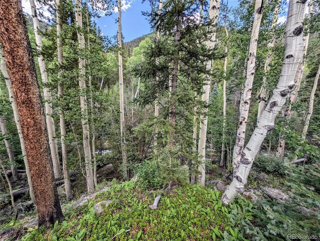 23795 County Road 162, Nathrop, CO 81236 - photo 8