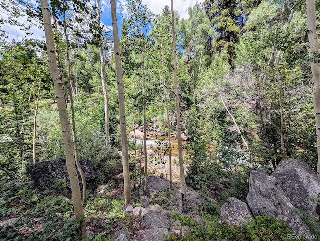 23795 County Road 162, Nathrop, CO 81236 - photo 12