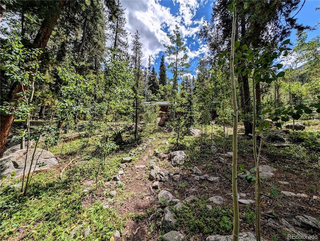 23795 County Road 162, Nathrop, CO 81236 - photo 13
